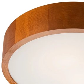 Lampada da soffitto 2xE27/60W/230V