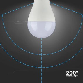 Lampadina LED SAMSUNG CHIP A65 E27/15W/230V 6500K