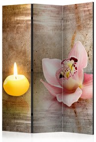 Paravento separè Serata romantica (3-parti) - orchidea rosa e candela gialla