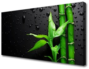 Quadro su tela Foglie di bambù Pianta 100x50 cm