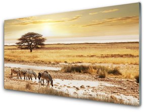 Quadro su vetro Paesaggio safari con zebre 100x50 cm