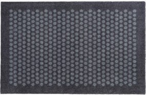 Zerbino Dot
