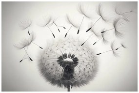 Quadro su tela – Soffione bianco e nero