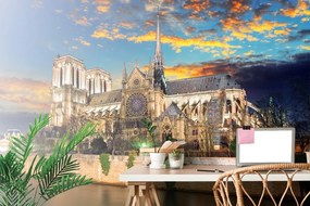 Carta da parati – Cattedrale di Notre Dame