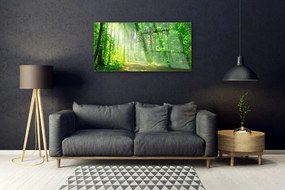 Quadro acrilico Foresta. Corsia. Alberi. Natura 100x50 cm