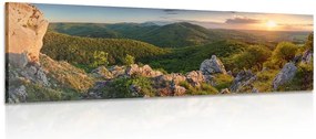 Stampa su tela – Natura baciata dal sole