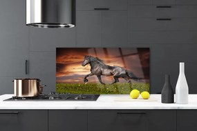 Pannello paraschizzi cucina Animali del prato del cavallo nero 125x50 cm