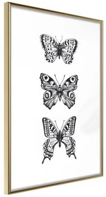 Poster  Butterfly Collection III  Cornice Quadri Cornice d'oro, Larghezza x Altezza Home decor 20x30