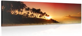 Quadro su tela – Tramonto in Sri Lanka