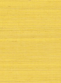 Élitis Tapete Sisal - RM 1069 21