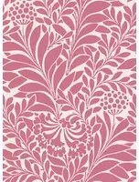 Cole & Son Carta da parati Honeysuckle - Raspberry