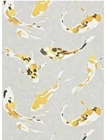 Harlequin Carta da parati Koi - Saffron
