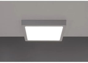 Plafoniera LED GERRY LED/6W/230V 3,000K