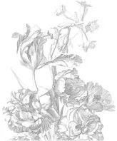 KEK Amsterdam Carta da parati panoramica Engraved Flowers 4 - XS