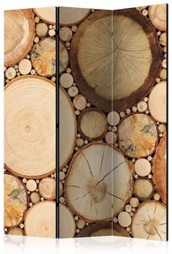 Paravento Wood grains [Room Dividers]