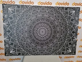 Quadro su tela – Mandala decorativa dettagliata in bianco e nero