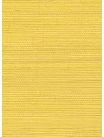 Élitis Tapete Sisal - RM 1069 21