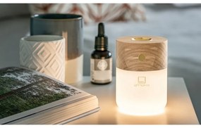 Diffusore elettrico Smart - Gingko