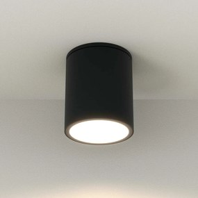 Applique da soffitto Cilindrica PAR30 IP54 in Alluminio e Vetro - Nera