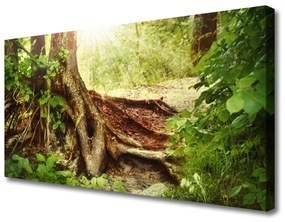 Quadro su tela Albero Stock Natura Foresta 100x50 cm