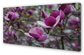 Quadro su tela Magnolia viola 100x50 cm