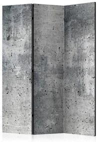 Paravento Fresh Concrete [Room Dividers]