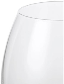 Bicchiere in set da 2 pezzi 520 ml Premium - Rosendahl