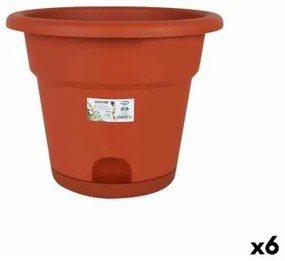 Vaso con Piatto Dem Greentime Marrone ø 35 x 28,5 cm (6 Unità)