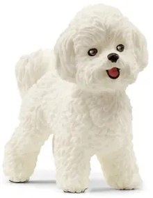 BICHON FRISE'