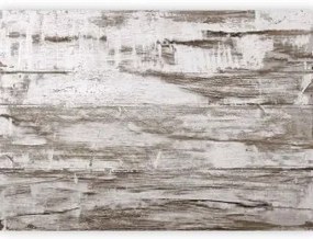 Carta da parati - Shabby Chic Wood Premium 250x175