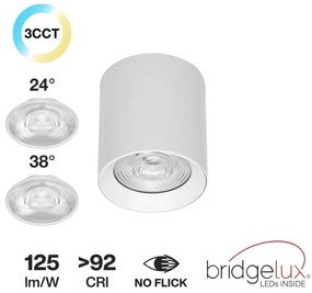 Applique da soffitto 20W Bianca CCT Bianco Variabile Angolo 24°/38° Bridgelux LED