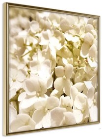 Poster  Soothing Flowers  Cornice Quadri Cornice d'oro, Larghezza x Altezza Home decor 50x50