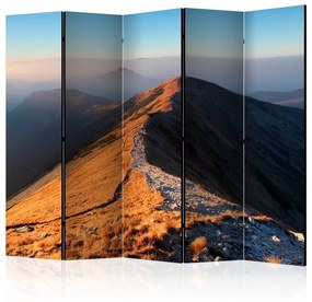 Paravento  Mountain footpath, Tatras II [Room Dividers]  Colore ---, Dimensioni e Misure 225x172