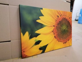 Stampa su tela – Girasole giallo