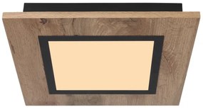 Globo 67292D2 - Plafoniera LED LEA LED/12W/230V