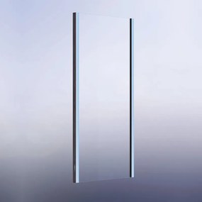 Pannello laterale per box doccia Namara L 100 x H 195cm, Sp. 8 mm profilo in alluminio argento anodizzato