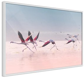 Poster Flamingos Breaking into a Flight