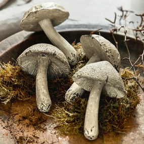 Set di 4 funghi Laval