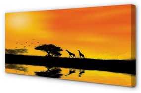 Quadro su tela Giraffe West Tree Lake 100x50 cm
