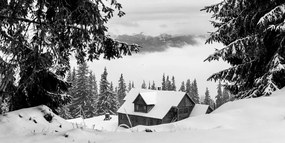 Quadro su tela – Casetta di legno tra pini innevati in bianco e nero