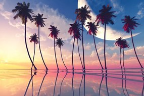 Stampa su tela – Tramonto sopra palme tropicali