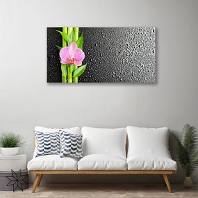 Quadro su tela Stelo della pianta del fiore di bambù 100x50 cm