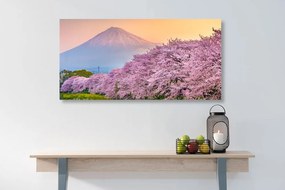 Quadro su tela – Meraviglioso Giappone