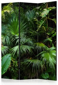Paravento Giungla soleggiata (3-parti) - foglie verdi di piante tropicali
