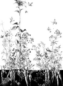 Edmond Petit Carta da parati Lièvres/Fenouil/Tournesol - Blanc et Noi - Tournesol Gauche - Blanc et Noir