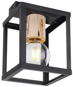 Globo 15476D - Plafoniera HAGAR 1xE27/60W/230V