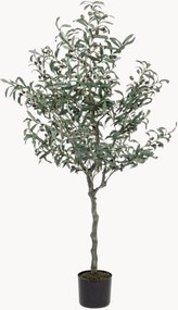 Pianta artificiale XL Olive