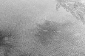 Quadro su tela – Lupo nel paesaggio innevato in bianco e nero