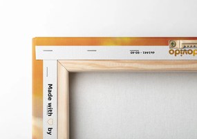 Quadro su tela – Splendidi fiori in giardino