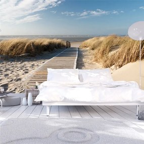 Fotomurale  Spiaggia del Mare del Nord, Langeoog  Colore Crema, Dimensioni e Misure 450x270